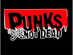 Punks not Dead chrbtová nášivka veľkosť cca. A4 (po krajoch neobšívaná) rozmery 36x24cm